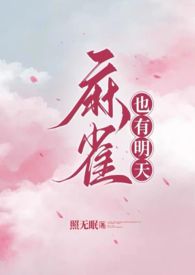 麻雀 网络小说封面
